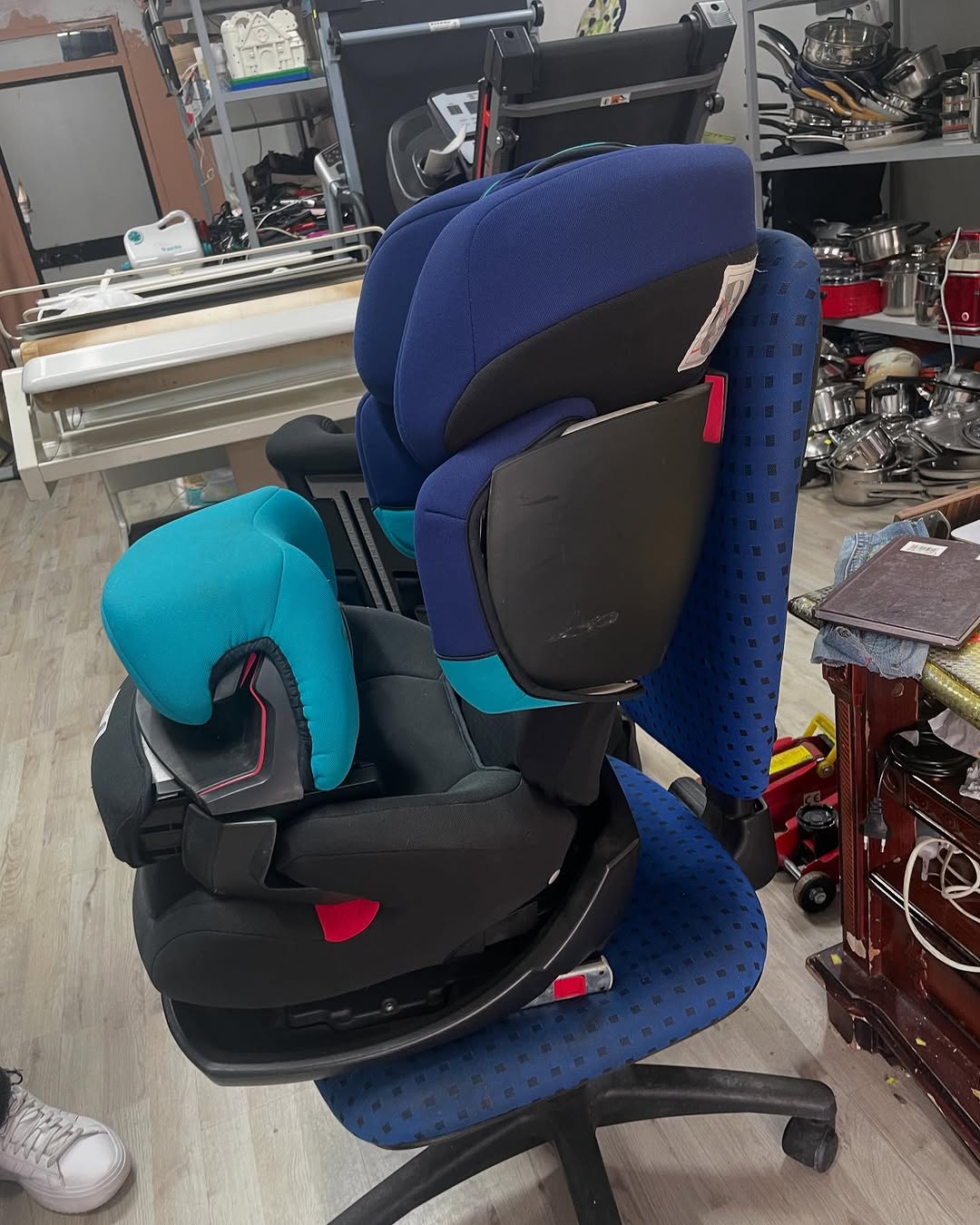 Segjolino cybex