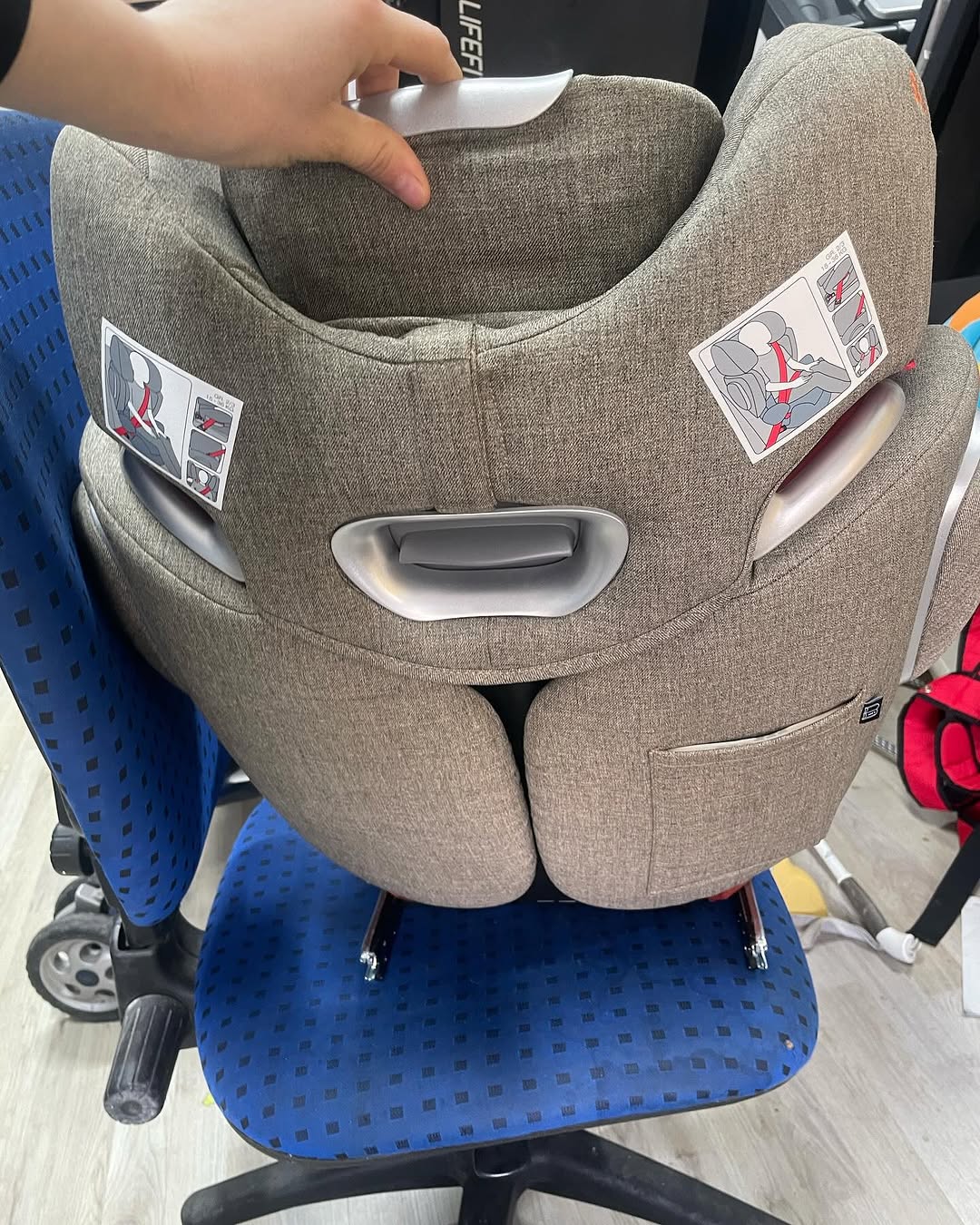 Segjolino cybex