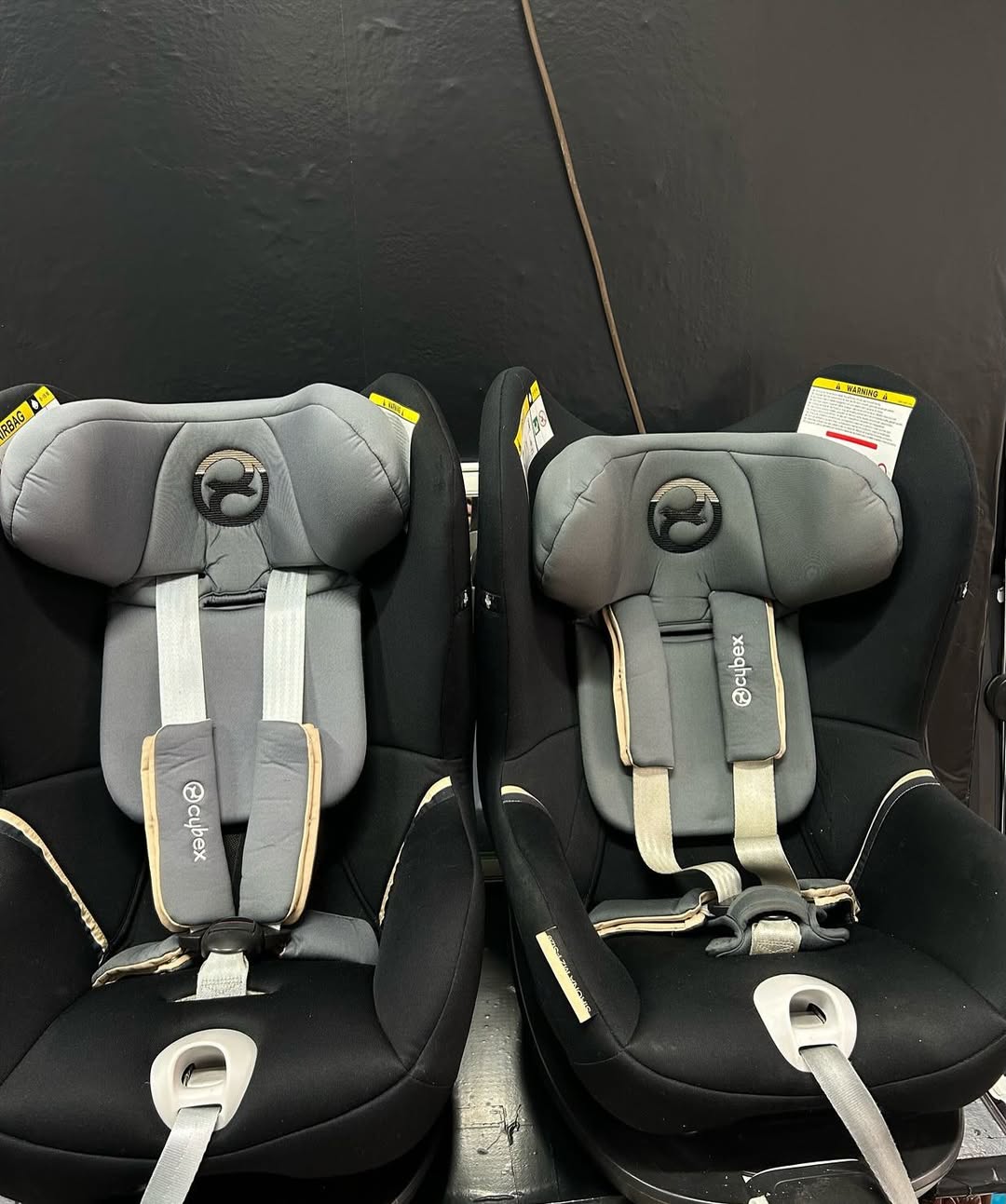 Segjolino cybex